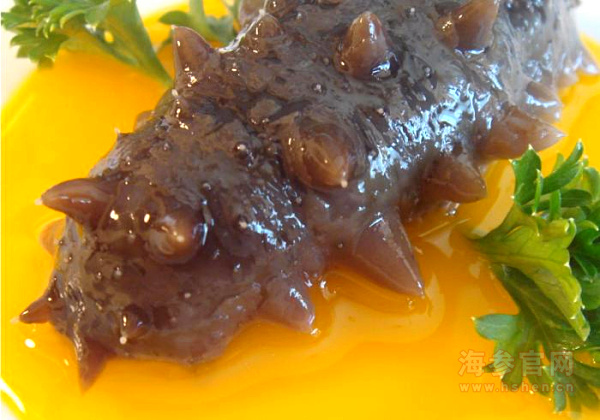 海参的生物特征